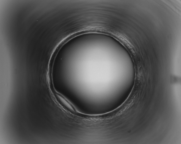 X0000097800888200803201355