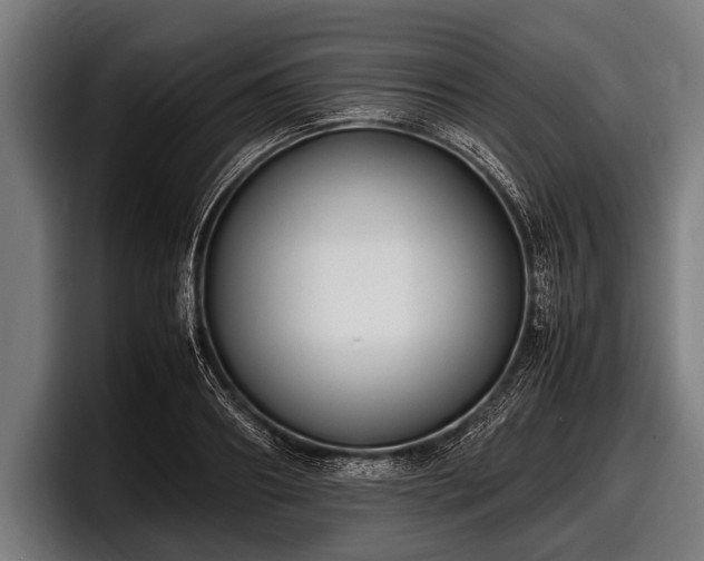 X0000097800890200803201355