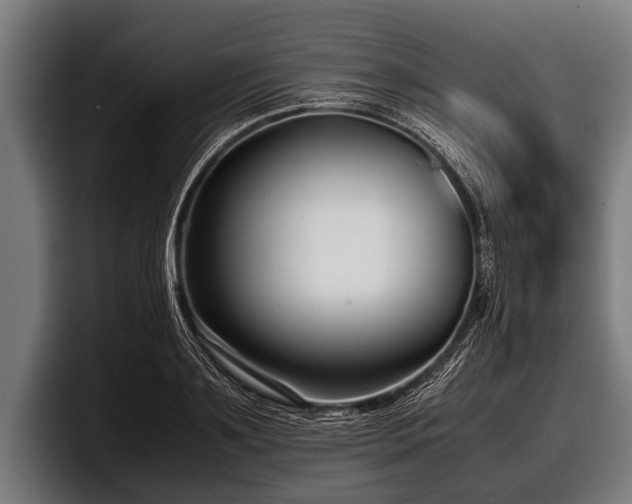 X0000097800891200803201355