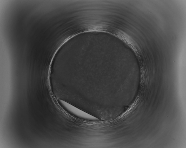 X0000097800892200803201355