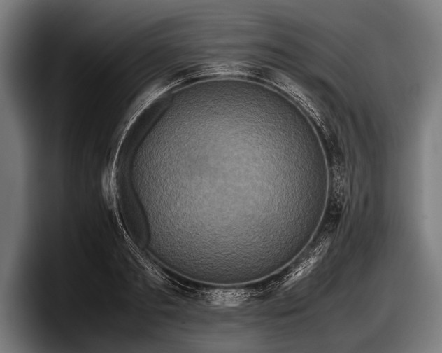 X0000097800893200803201355