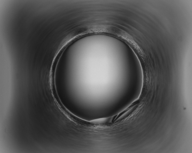 X0000097800894200803201355