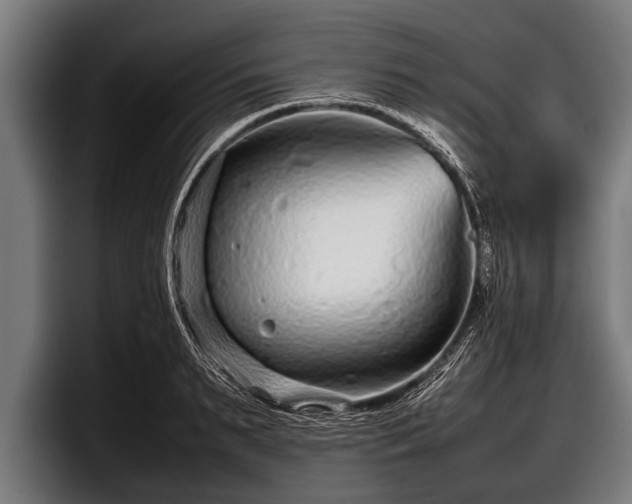 X0000097800895200803201355