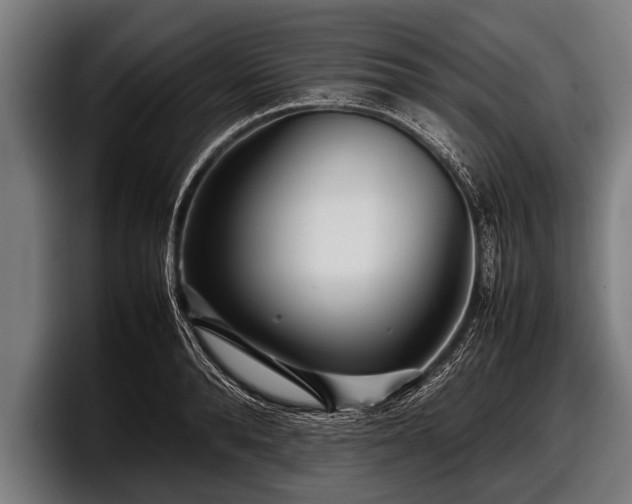 X0000097800896200803201355