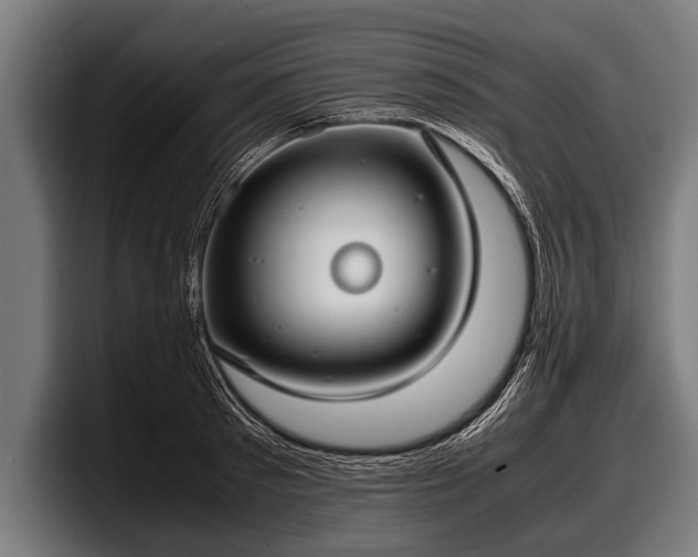 X0000097800897200803201355