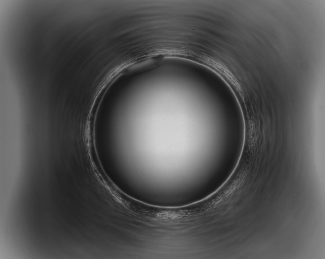 X0000097800898200803201355