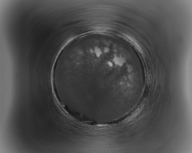 X0000097800899200803201355