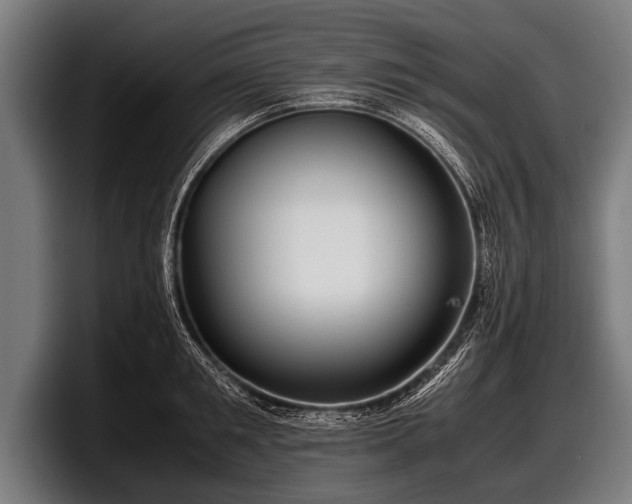 X0000097800901200803201355