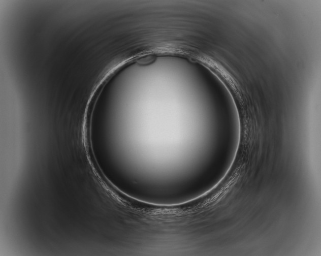 X0000097800902200803201355