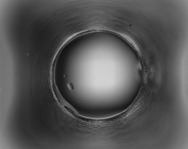 X0000097800903200803201355