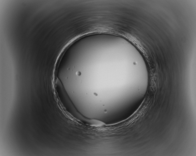 X0000097800904200803201355