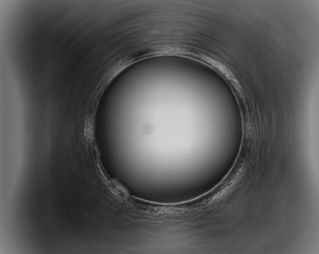 X0000097800905200803201355