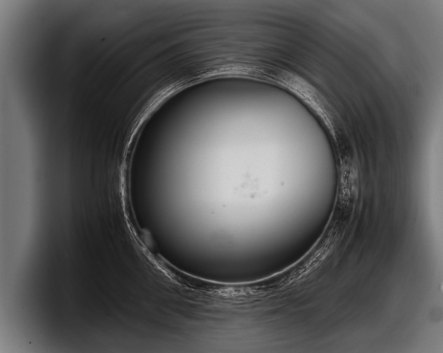 X0000097800906200803201355