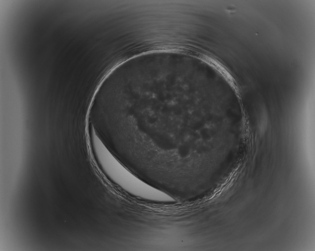 X0000097800907200803201355