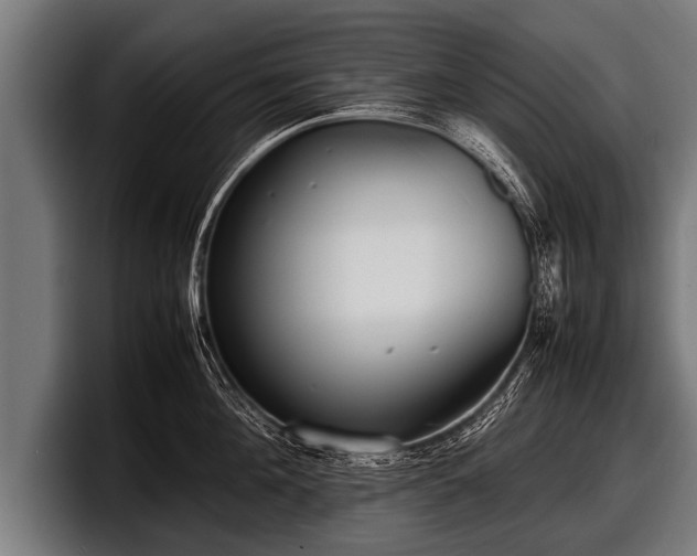 X0000097800908200803201355