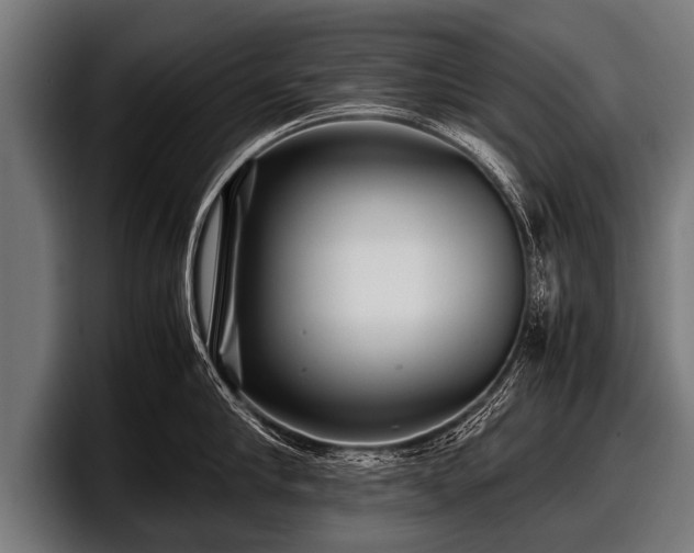 X0000097800910200803201355