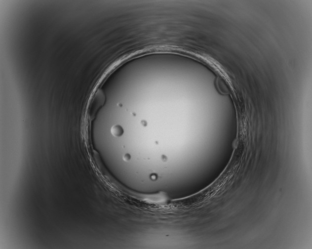 X0000097800911200803201355