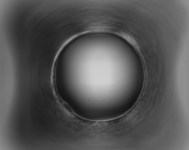 X0000097800912200803201355