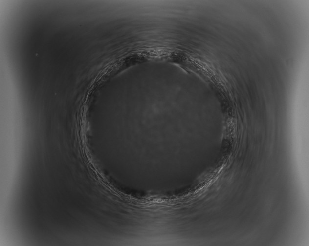 X0000097800913200803201354