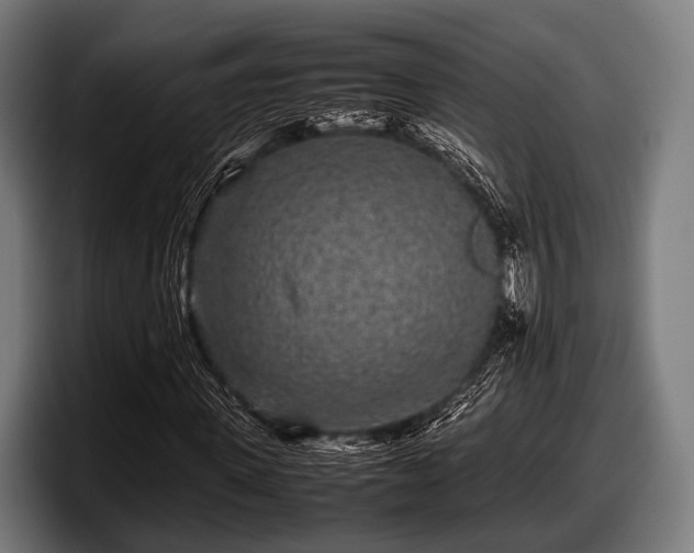 X0000097800915200803201354