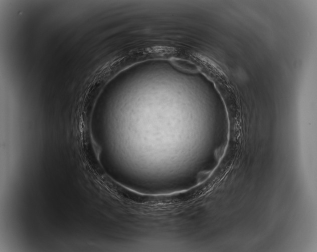 X0000097800917200803201354