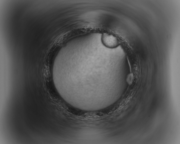 X0000097800918200803201354