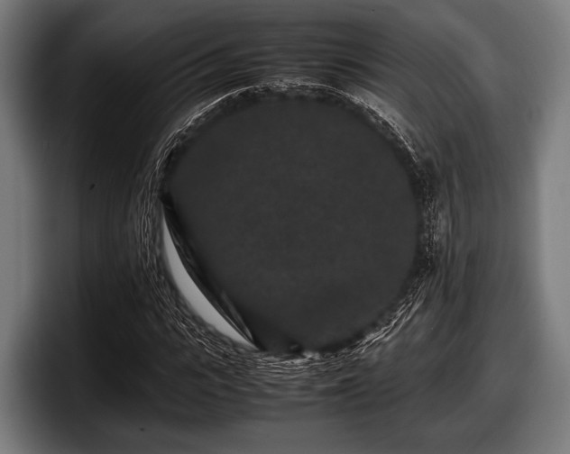 X0000097800919200803201354