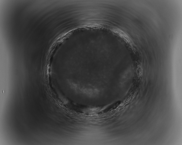 X0000097800920200803201354