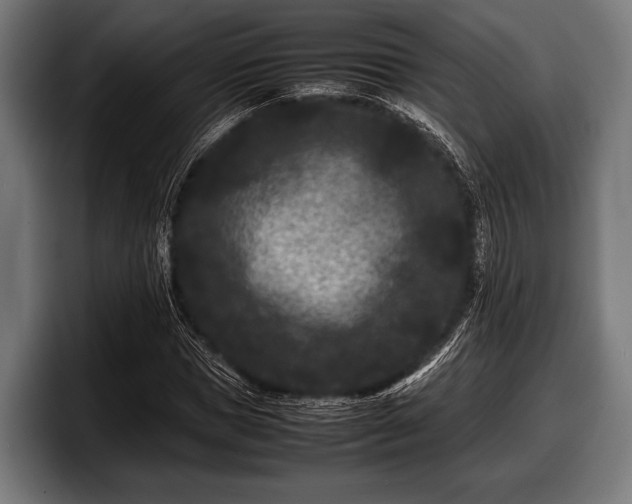 X0000097800921200803201354