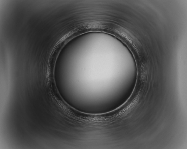 X0000097800922200803201354