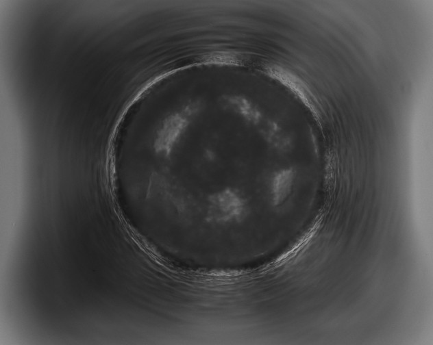 X0000097800923200803201354