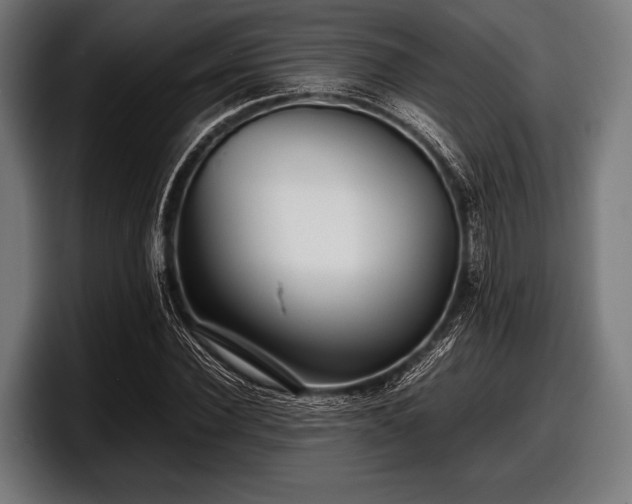 X0000097800924200803201354