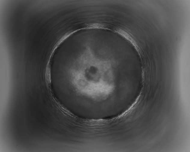 X0000097800925200803201354