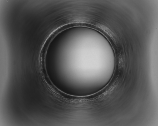 X0000097800926200803201354