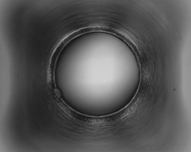 X0000097800927200803201354