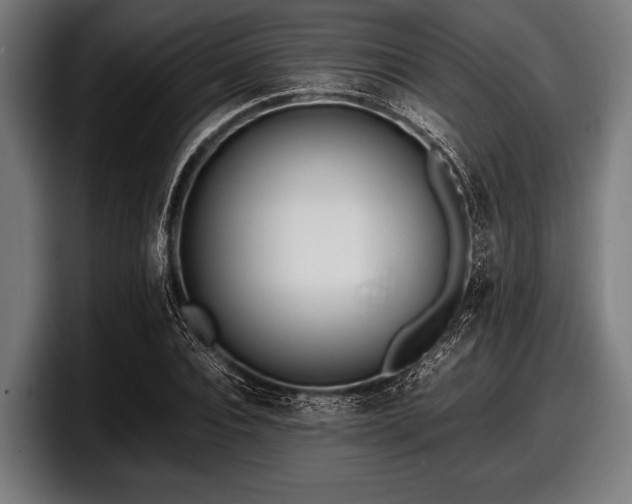 X0000097800928200803201354