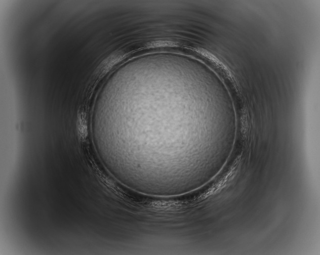 X0000097800929200803201354