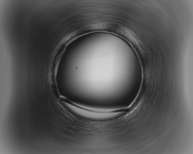 X0000097800930200803201354