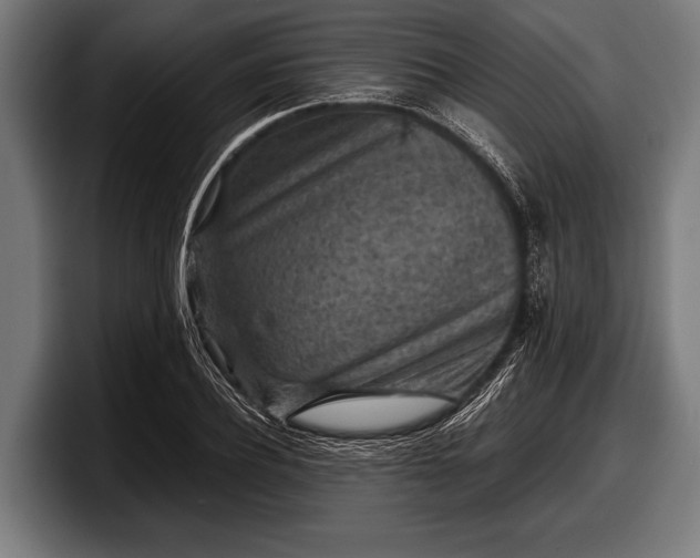 X0000097800932200803201354