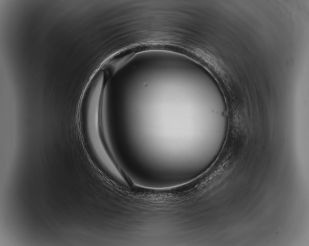 X0000097800934200803201354