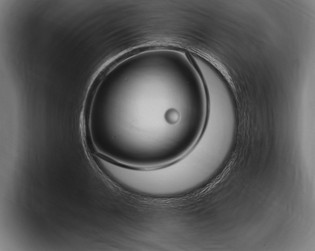 X0000097800936200803201354