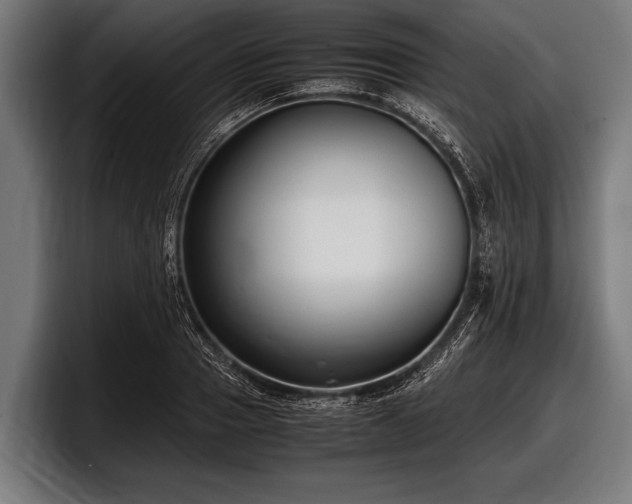 X0000097800937200803201354