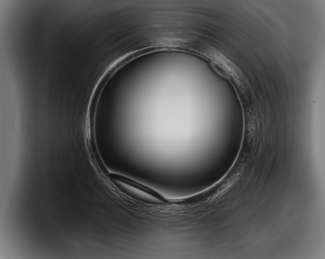 X0000097800940200803201354