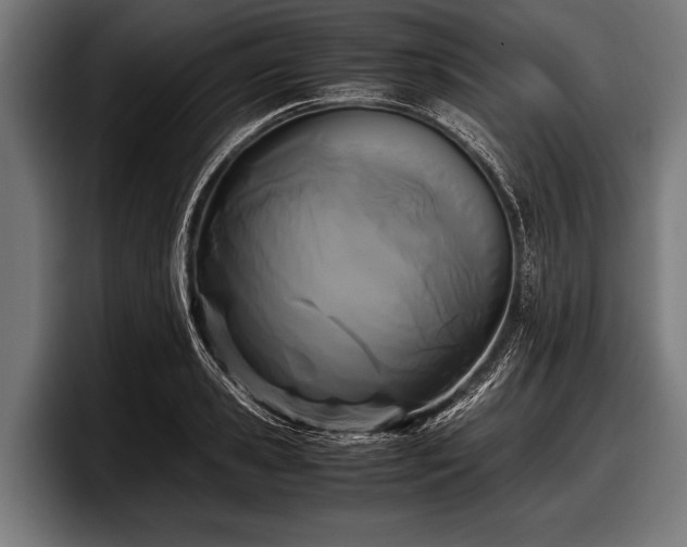 X0000097800941200803201354