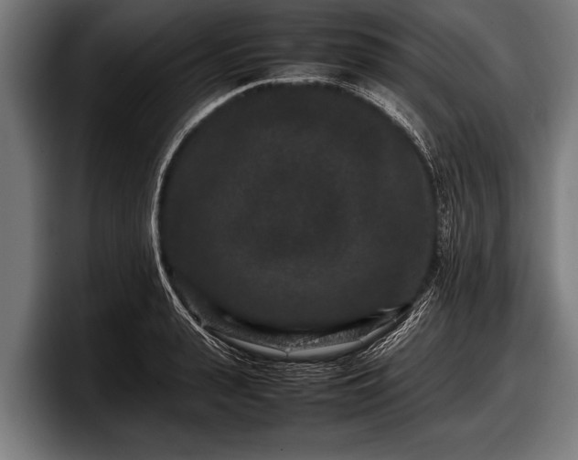 X0000097800943200803201354