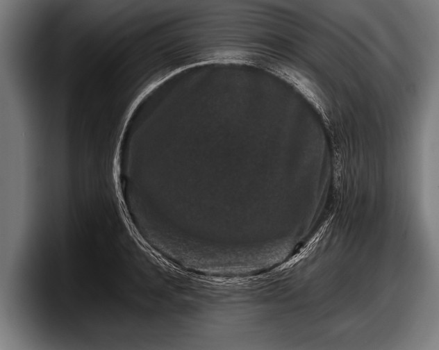 X0000097800944200803201354