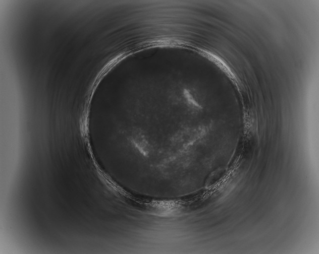 X0000097800946200803201354