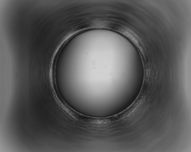 X0000097800947200803201354