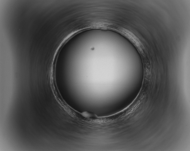 X0000097800948200803201354