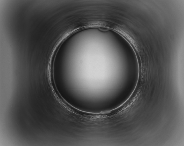 X0000097800949200803201354